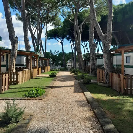 Kamp alanı Blue Camping