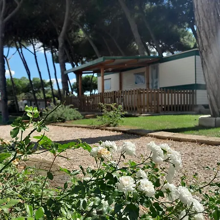 Blue Camping * Terracina