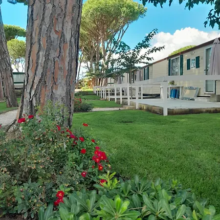 Blue Camping Terracina