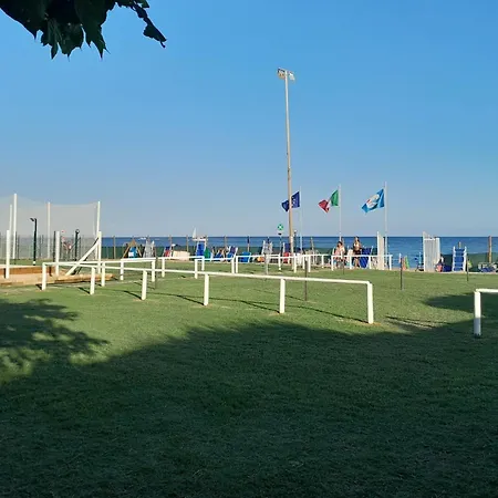 Blue Camping Kamp alanı