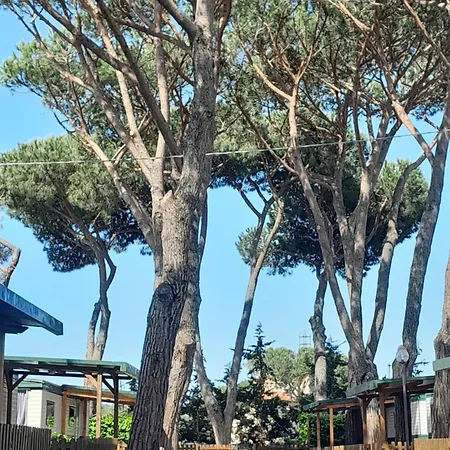Blue Camping Κάμπινγκ Terracina