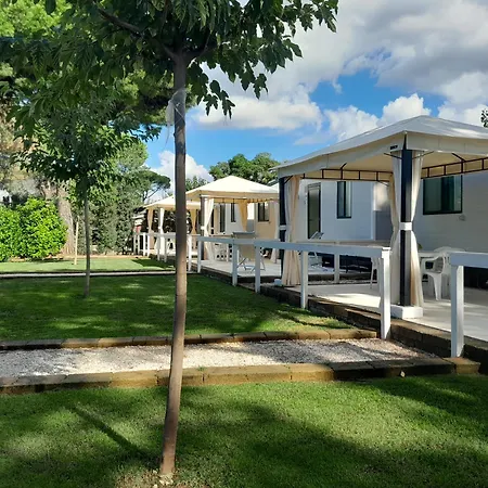 Blue Camping